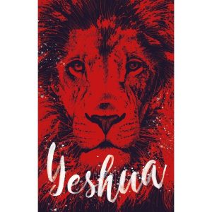 BÍBLIA ARC 860 REI YESHUA - LETRA NORMAL: ALMEIDA REVISTA E CORRIGIDA