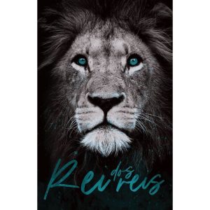 BÍBLIA ARC 860 REI DOS REIS - LETRA NORMAL: ALMEIDA REVISTA E CORRIGIDA