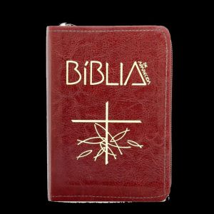 BÍblia de Aparecida bolso zíper marrom