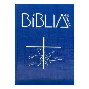 Biblia de aparecida bolso cristal