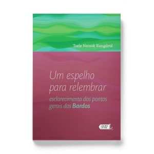 UM ESPELHO PARA RELEMBRAR: ESCLARECIMENTO DOS PONTOS GERAIS DOS BARDOS